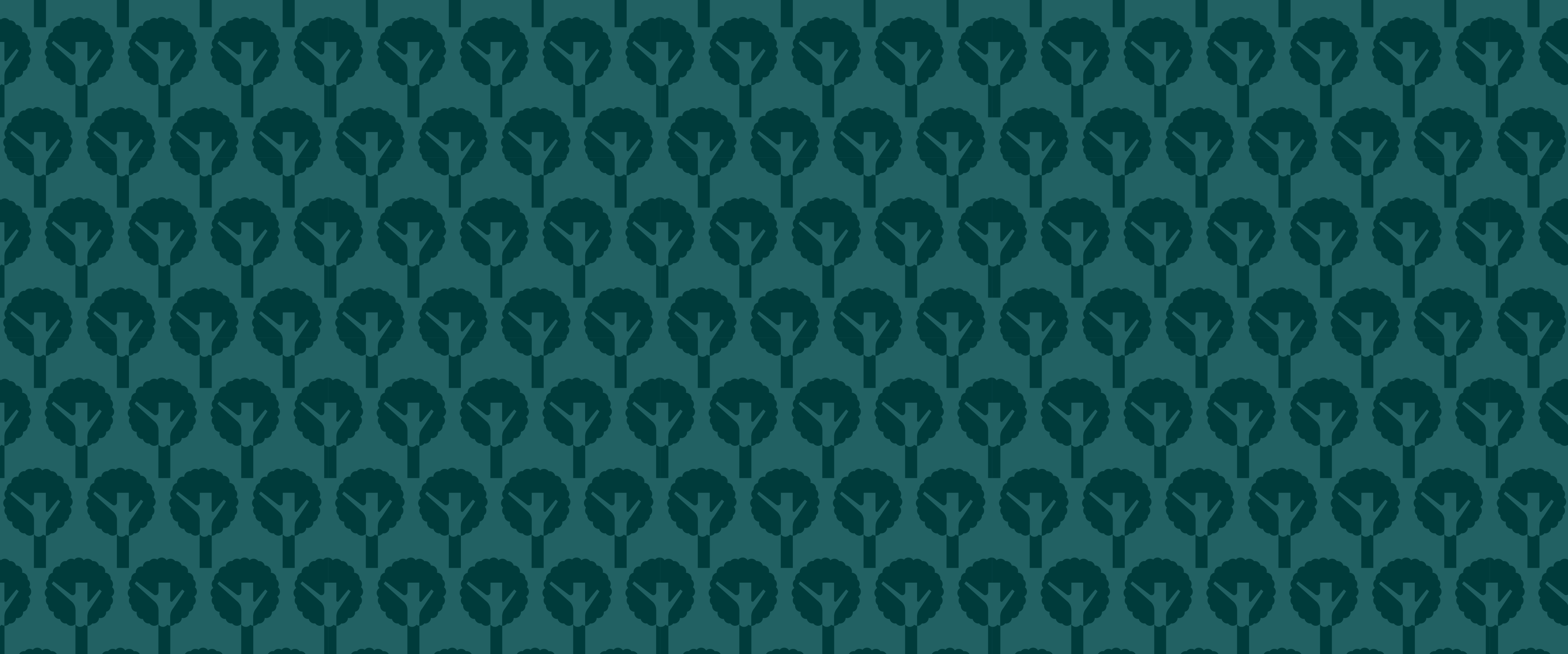 Arbolado urbano y calidad del aire: beneficios clave para la salud y seguridad de los peatones | Mapasin